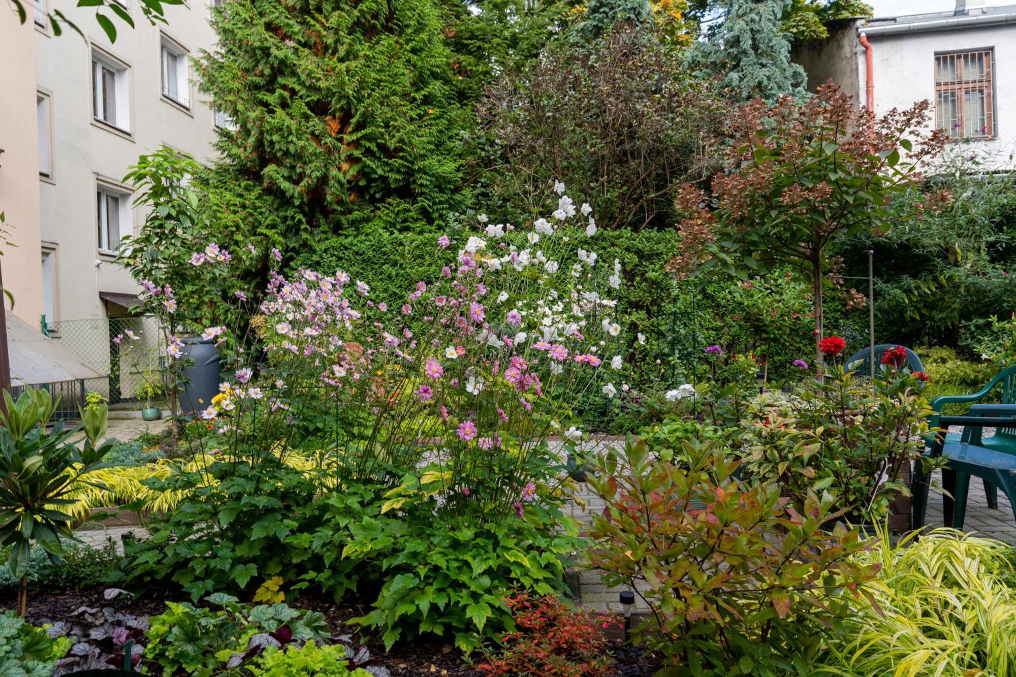 Cozy Corner By Cozyplace Krasków Εξωτερικό φωτογραφία